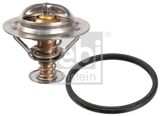 Thermostat, coolant